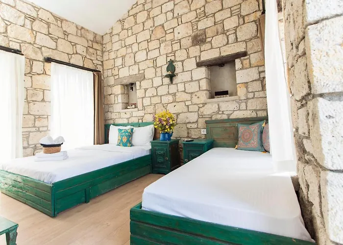 Mastik Koyici Hotel *