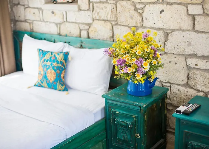 Hotel Mastik Koyici *